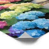 Regenboog Hydrangea Tuinpad Poster (Hoek)