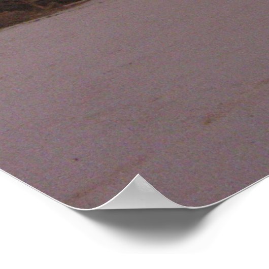 Regenboog in Daytona Beach Print (Hoek)