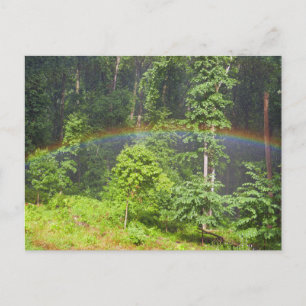 Regenboog in het bos briefkaart