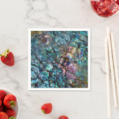 Regenboog Irideerende Abalone Strand Schelp Servet (Insitu)