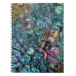 Regenboog Iridele Abalone Zee Schelp Notitieboek