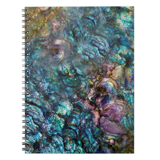 Regenboog Iridiserende Abalone Zeeschelp Notitieboek (Voorkant)