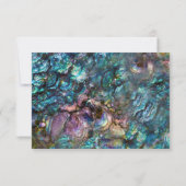 Regenboog Iridiserende Abalone Zeeschelp RSVP antw (Achterkant)