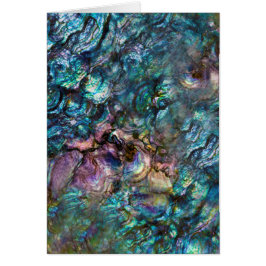 Regenboog Iriserende Abalone Zee Schelp Dank Je We