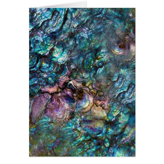 Regenboog Iriserende Abalone Zee Schelp Dank Je We (Voorkant)