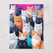 Regenboog Katten, Postcrossing Briefkaart (Voorkant)