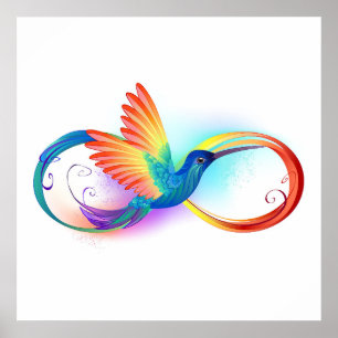 Regenboog Kolibrie met oneindigheidssymbool Poster