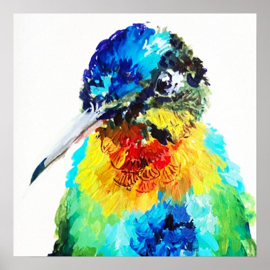 Regenboog Kolibrie Poster (Voorkant)