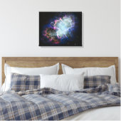 Regenboog Krabnevel 16x20 Canvas Afdruk (Insitu (Slaapkamer))