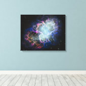 Regenboog Krabnevel 16x20 Canvas Afdruk (Insitu (Houten vloer))