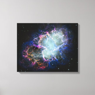 Regenboog Krabnevel 16x20 Canvas Afdruk