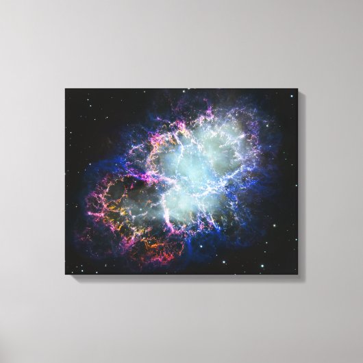 Regenboog Krabnevel 16x20 Canvas Afdruk (Voorkant)