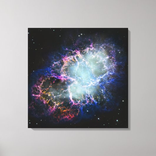 Regenboog Krabnevel 24x24 Canvas Afdruk (Voorkant)