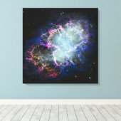Regenboog Krabnevel 24x24 Canvas Afdruk (Insitu (Houten vloer))