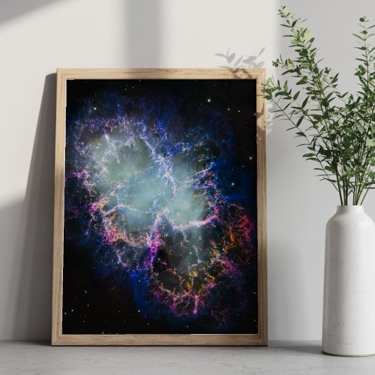 Regenboog Krabnevel 8x10 Poster