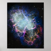 Regenboog Krabnevel 8x10 Poster (Voorkant)