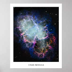 Regenboog Krabnevel Foto met Naam 16X20 Poster