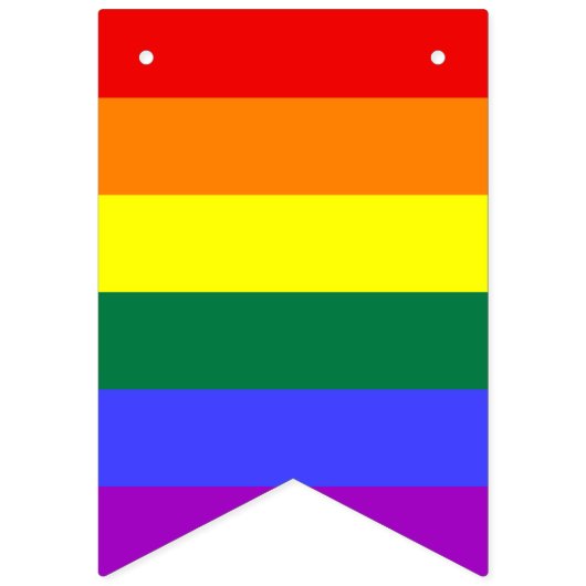 Regenboog LGBTQIA+ Bunting Flags Vlaggetjes (Tweede vlag)