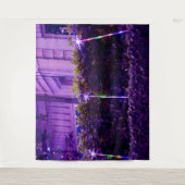 Regenboog Lichten in Auckland Tapestry Wandkleed (Voorkant)