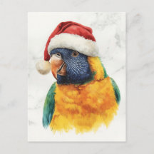 Regenboog Lori in Santa Hoed Aquarel