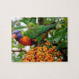 Regenboog Lorikeeten Australië Legpuzzel
