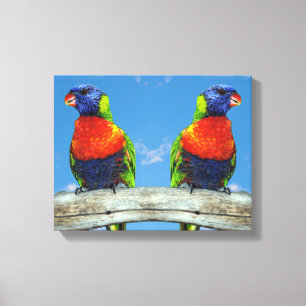 Regenboog lorikets twee neergestreken op een tak canvas afdruk