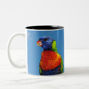 Regenboog lorikets twee neergestreken op een tak tweekleurige koffiemok