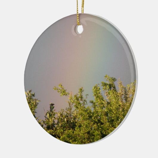 Regenboog Lucht Ornament (Links)