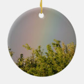 Regenboog Lucht Ornament (Achterkant)
