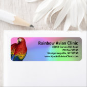 Regenboog Macaw met kleurrijke achtergrond Etiket (Insitu)