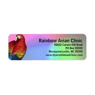 Regenboog Macaw met kleurrijke achtergrond Etiket