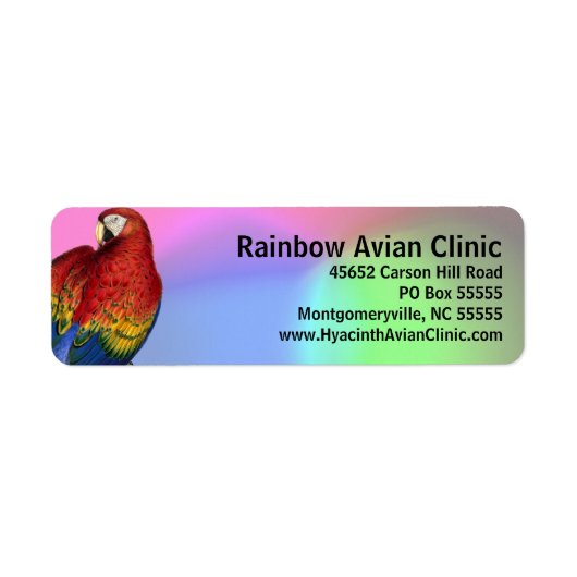Regenboog Macaw met kleurrijke achtergrond Etiket (Voorkant)