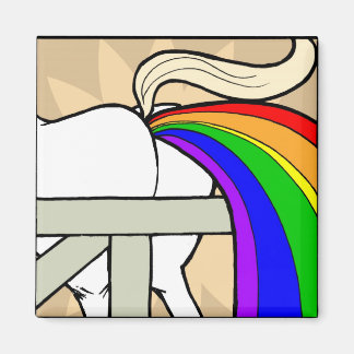 Regenboog Magneet