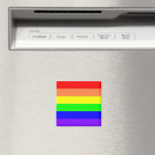Regenboog Magnent Magneet (Insitu (Vaatwasser))