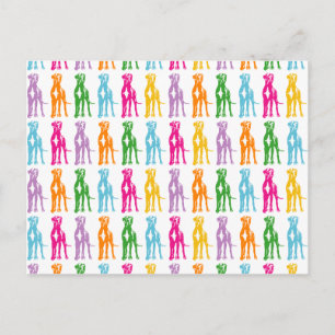 Regenboog Mastiff Patroon Briefkaart