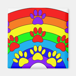 Regenboog met dogverf magneet