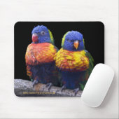 Regenboog Muismat (Met muis)