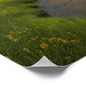 Regenboog na de douche poster (Hoek)