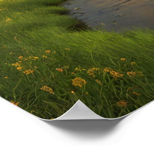 Regenboog na de douche poster (Hoek)