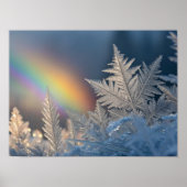 Regenboog op Frosted Ferns Poster (Voorkant)