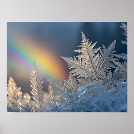 Regenboog op Frosted Ferns Poster (Voorkant)