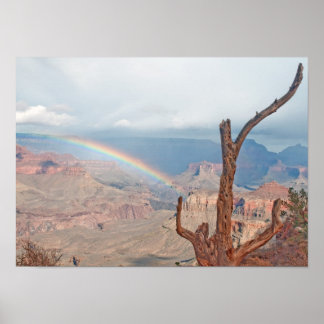 Regenboog over de Grand Canyon Poster