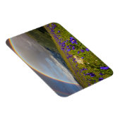 Regenboog over een bloeiende weide magneet (Rechterzijde)