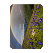 Regenboog over een bloeiende weide magneet (Verticaal)