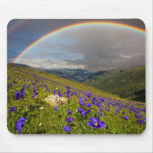 Regenboog over een bloeiende weide muismat