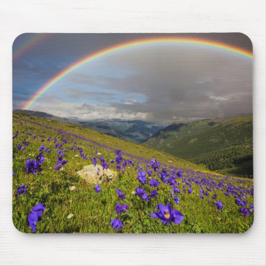 Regenboog over een bloeiende weide muismat (Voorkant)