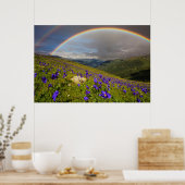 Regenboog over een bloeiende weide poster (Keuken)