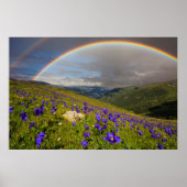 Regenboog over een bloeiende weide poster (Voorkant)
