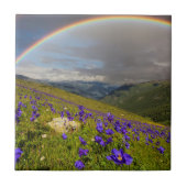 Regenboog over een bloeiende weide tegeltje (Voorkant)