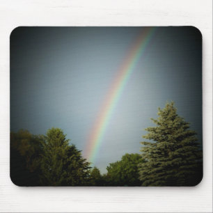 Regenboog over Evergeen Muismat